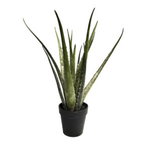 Artificial Aloe (37cm)