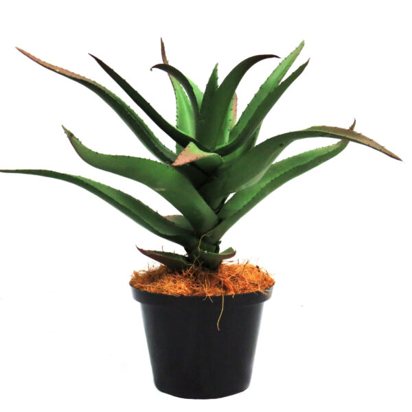 Artificial Aloe Attacama (26cm)