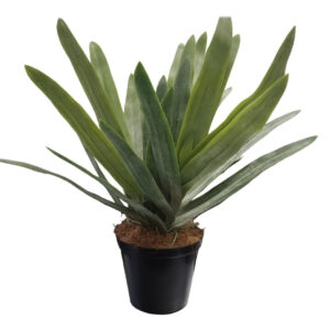 Artificial Extravaganza Plant (60cm)